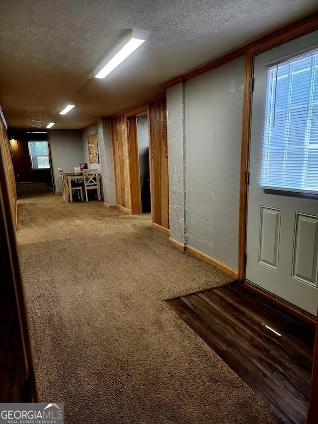 basement featuring carpet flooring and a textured ceiling