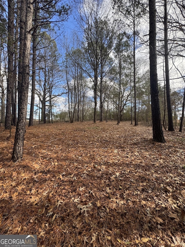 0 Plantation Rd, Madison, GA 30650