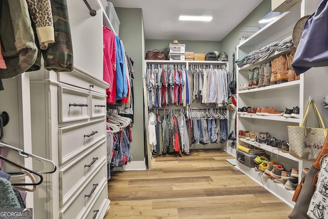 spacious closet with light hardwood / wood-style floors