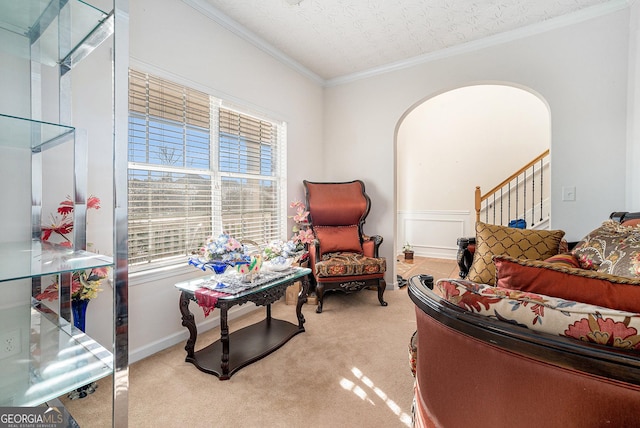 living area featuring crown molding, carpet floors, and a textured ceiling