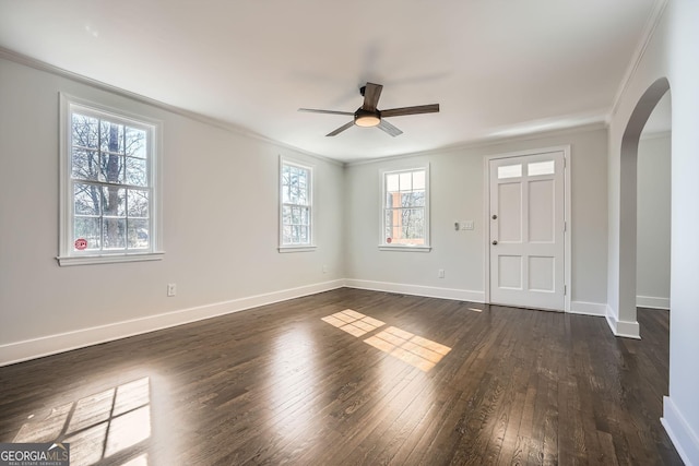 foyer featuring crown molding, ceiling fan, and dark wood-type flooring