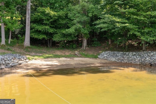 view of yard with a water view