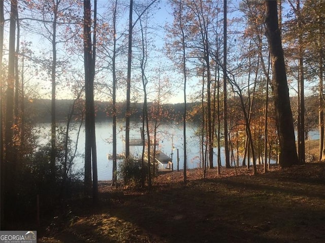 view of water feature