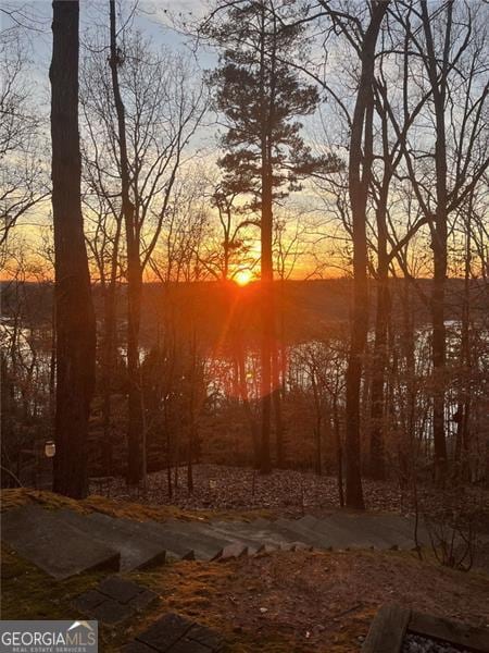 view of nature at dusk