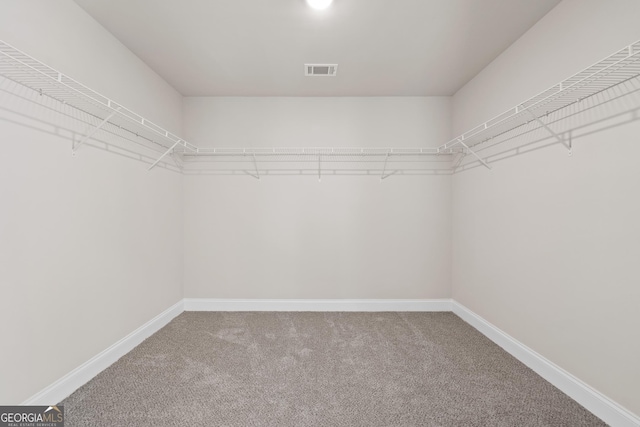 spacious closet featuring carpet flooring