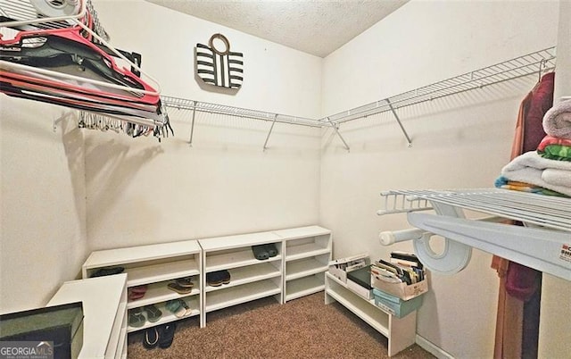 spacious closet featuring dark colored carpet