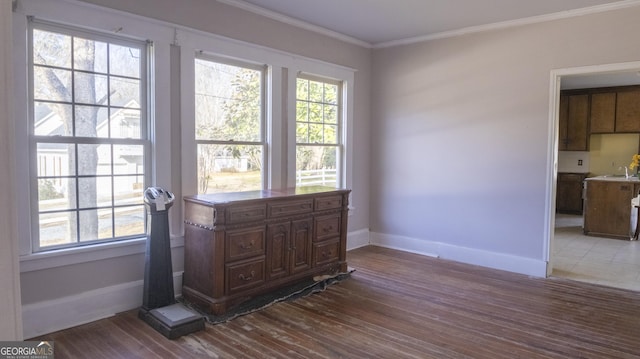 interior space with hardwood / wood-style flooring, ornamental molding, and a wealth of natural light