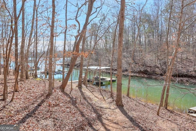 water view with a dock