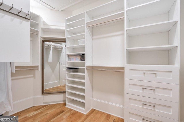 spacious closet with light hardwood / wood-style flooring