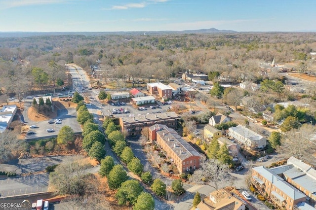 bird's eye view