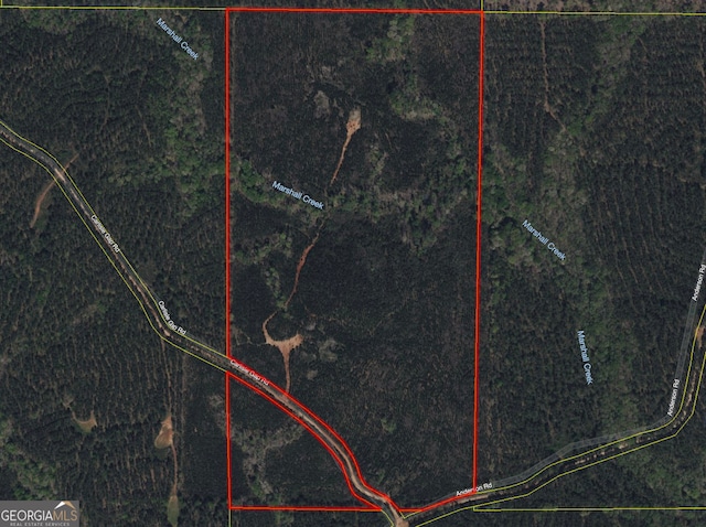 0 Carlisle Gap Rd, Woodland GA, 31836 land for sale