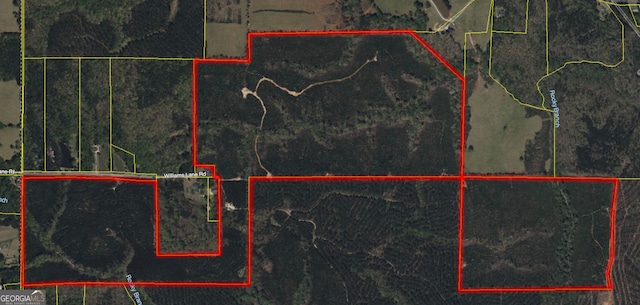 770 Williams Lane Rd, Shiloh GA, 31826 land for sale