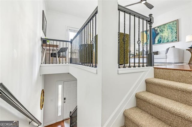 staircase with hardwood / wood-style flooring and ceiling fan