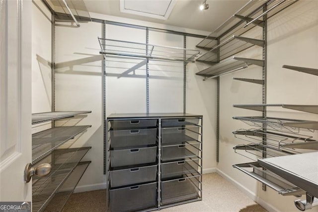 spacious closet with carpet floors