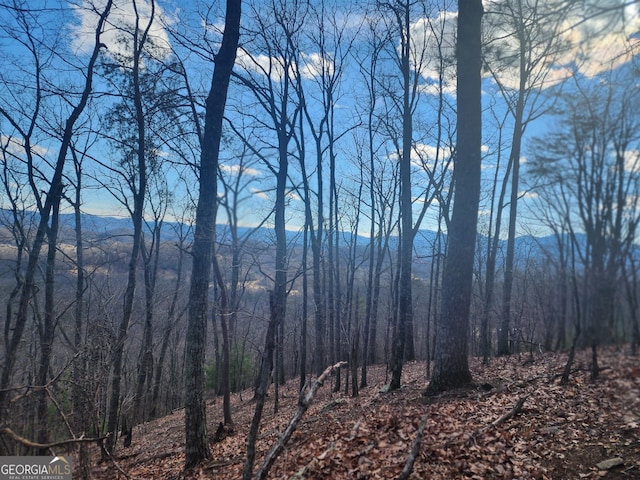 000 Trackrock Gap Rd, Blairsville GA, 30514 land for sale