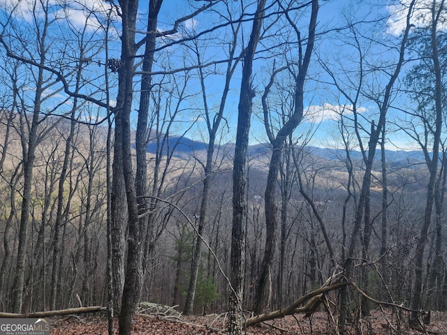 Listing photo 3 for 000 Trackrock Gap Rd, Blairsville GA 30514