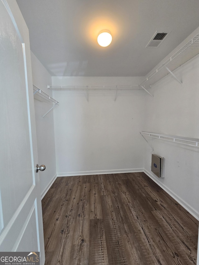 spacious closet featuring dark hardwood / wood-style flooring