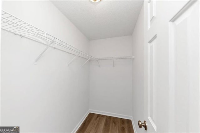 spacious closet featuring dark hardwood / wood-style floors