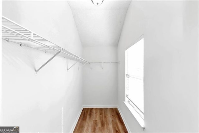 walk in closet with wood-type flooring