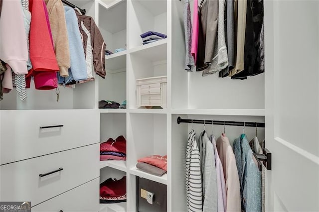 view of spacious closet