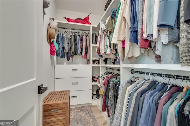 spacious closet featuring light hardwood / wood-style floors