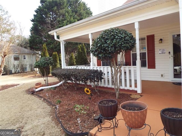 view of yard featuring covered porch