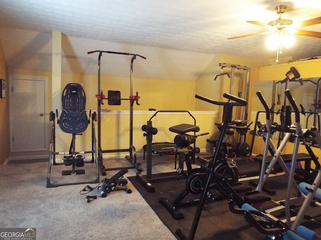 workout room featuring ceiling fan and carpet