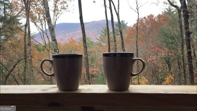 exterior details featuring a mountain view