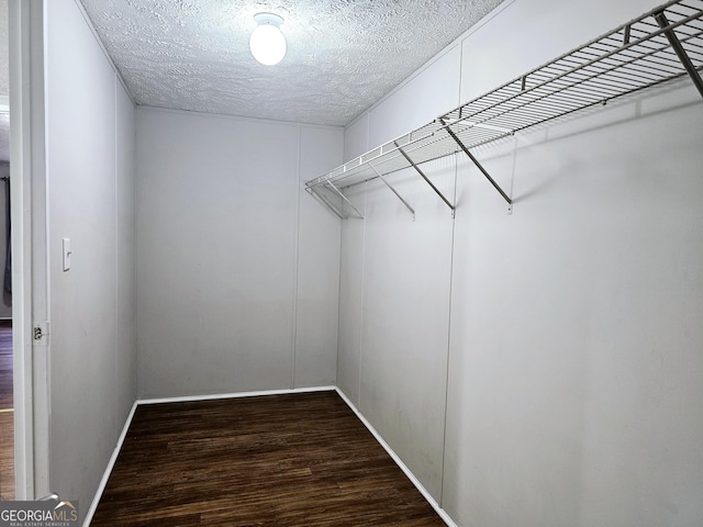 spacious closet with dark wood-type flooring