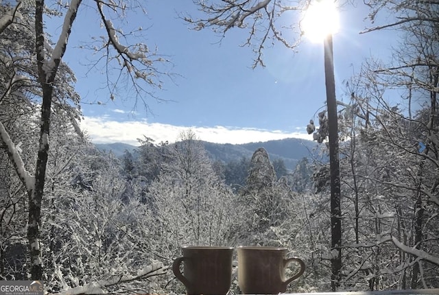 property view of mountains featuring a forest view