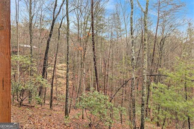 view of landscape with a forest view