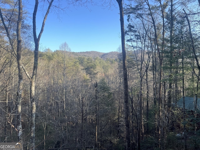 view of mountain feature featuring a forest view