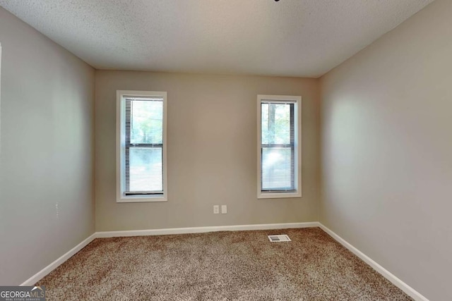 carpeted spare room featuring a wealth of natural light and a textured ceiling