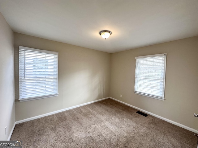 carpeted spare room with a wealth of natural light