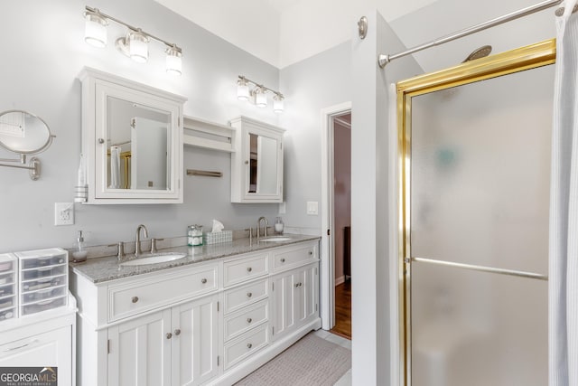 bathroom with vanity and walk in shower