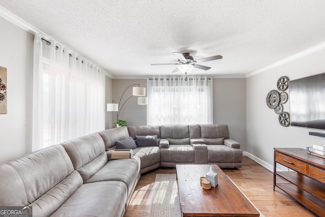 living room featuring crown molding, wood-type flooring, a textured ceiling, and ceiling fan