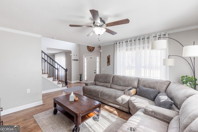 living room featuring ceiling fan, crown molding, wood-type flooring, and a textured ceiling