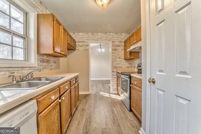 kitchen featuring sink, white dishwasher, decorative light fixtures, stainless steel electric stove, and light wood-type flooring