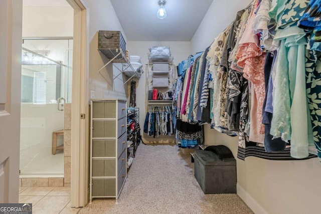 view of spacious closet