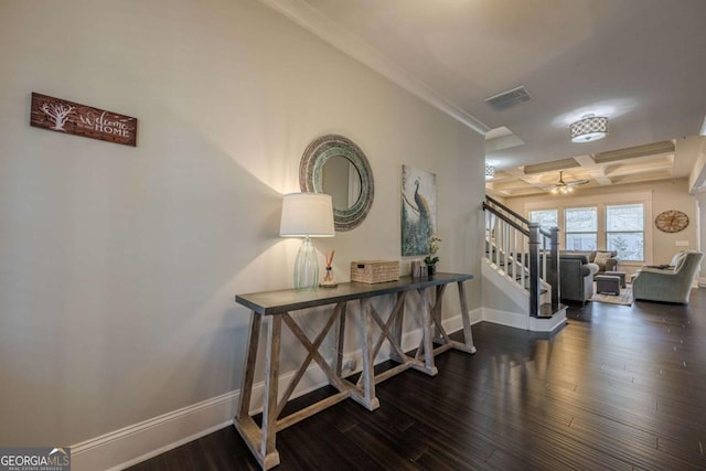 corridor with coffered ceiling, crown molding, and dark hardwood / wood-style floors