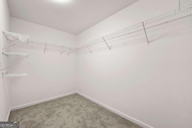 spacious closet with carpet floors