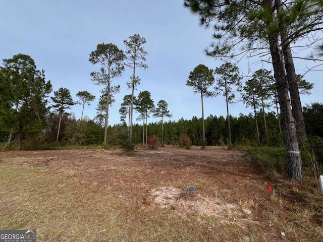 597 Salt Creek Way E, Brunswick GA, 31523 land for sale