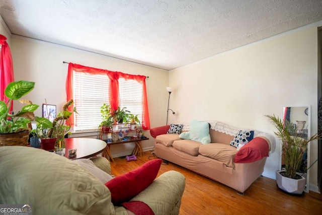 living room featuring hardwood / wood-style flooring, ornamental molding, and a textured ceiling