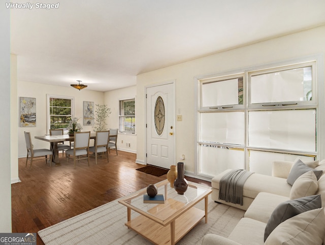 living room with wood-type flooring