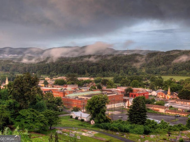 property view of mountains