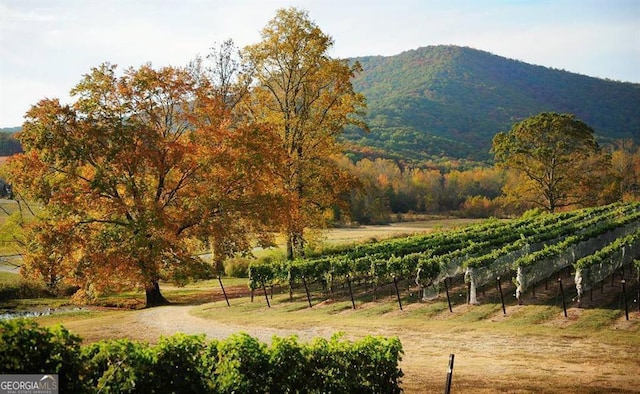 view of mountain feature featuring a rural view