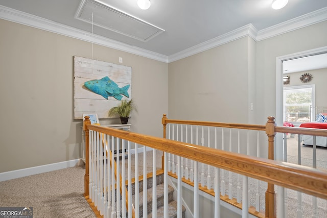 hall featuring crown molding and carpet