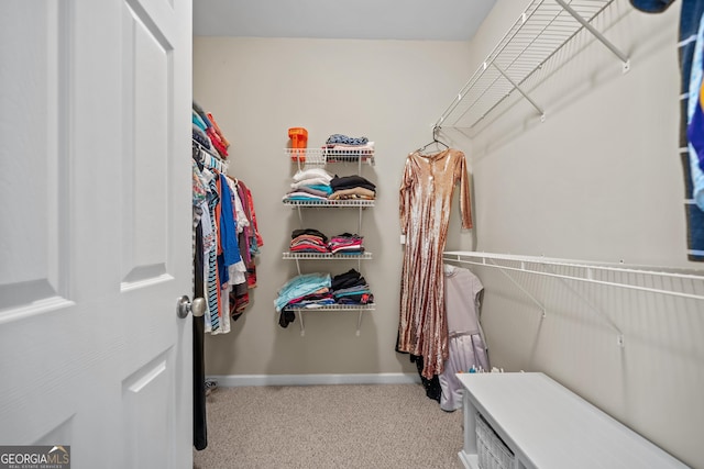 spacious closet featuring light carpet