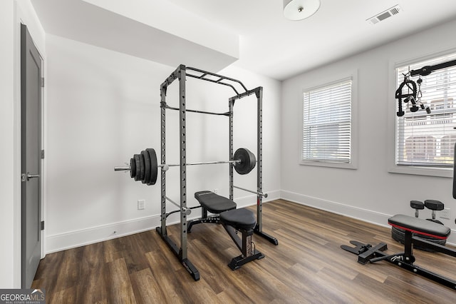 exercise area with hardwood / wood-style flooring and a healthy amount of sunlight