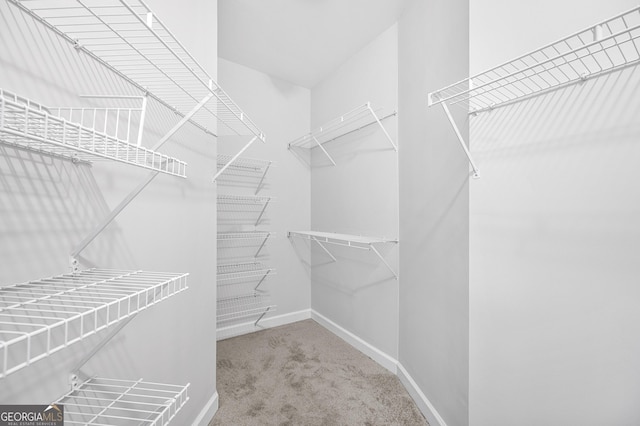 spacious closet featuring carpet floors